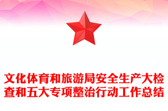 文化体育和旅游局安全生产大检查和五大专项整治行动工作总结