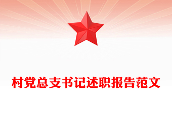 村党总支书记述职报告范文