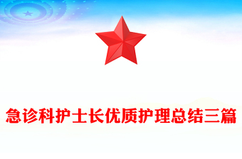 急诊科护士长优质护理总结三篇