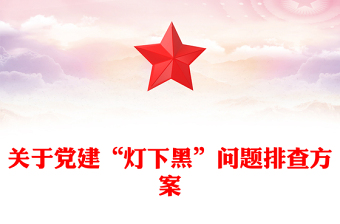 关于党建“灯下黑”问题排查方案