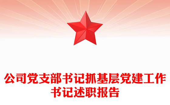 公司党支部书记抓基层党建工作书记述职报告