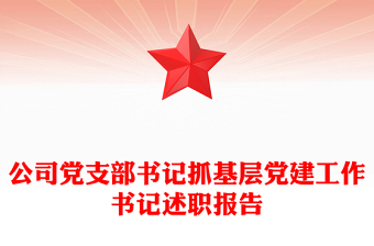 公司党支部书记抓基层党建工作书记述职报告