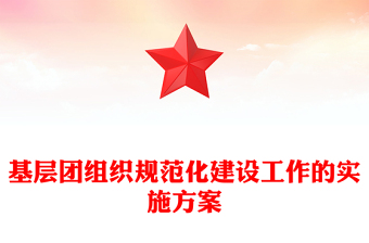 基层团组织规范化建设工作的实施方案