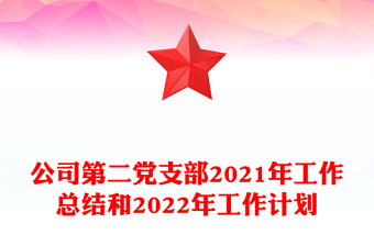 公司第二党支部2021年工作总结和2022年工作计划