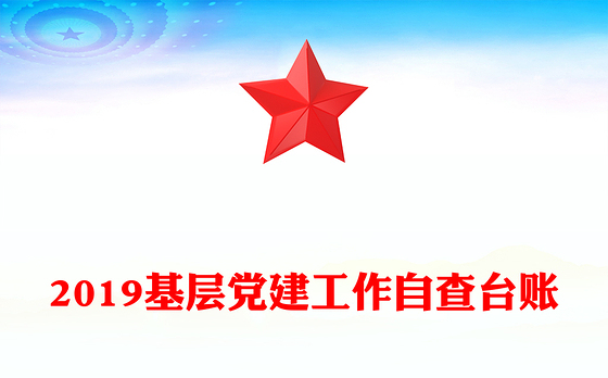 2019基层党建工作自查台账