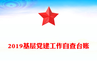 2019基层党建工作自查台账