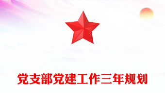 党支部党建工作三年规划
