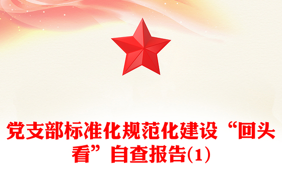 党支部标准化规范化建设“回头看”自查报告(1)