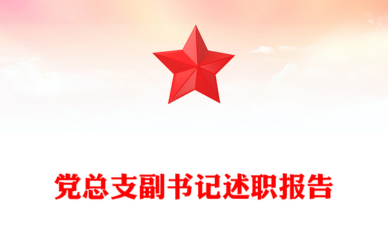 党总支副书记述职报告