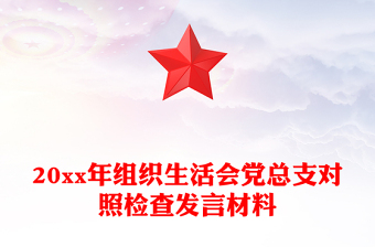 20xx年组织生活会党总支对照检查发言材料