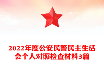 2022年度公安民警民主生活会个人对照检查材料3篇