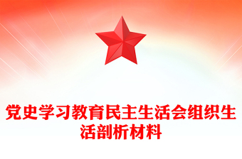 党史学习教育民主生活会组织生活剖析材料