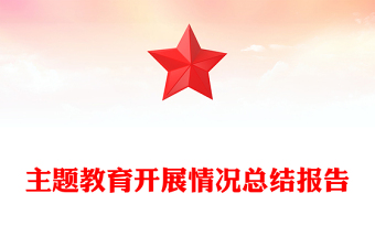 主题教育开展情况总结报告