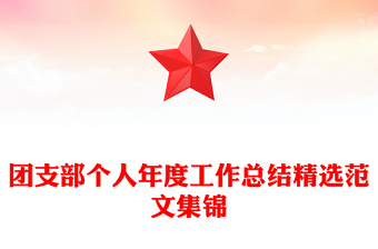 团支部个人年度工作总结精选范文集锦