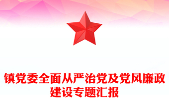 镇党委全面从严治党及党风廉政建设专题汇报