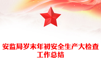 安监局岁末年初安全生产大检查工作总结