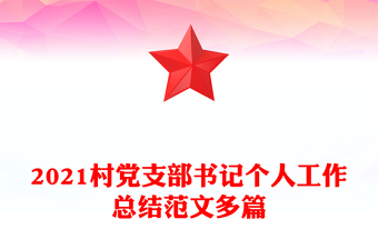 2021村党支部书记个人工作总结范文多篇
