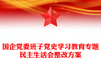 国企党委班子党史学习教育专题民主生活会整改方案
