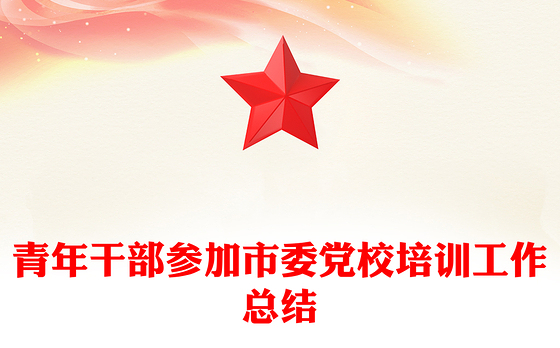 青年干部参加市委党校培训工作总结