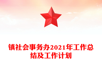 镇社会事务办2021年工作总结及工作计划