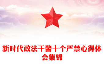 新时代政法干警十个严禁心得体会集锦