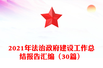 2021年法治政府建设工作总结报告汇编（30篇）
