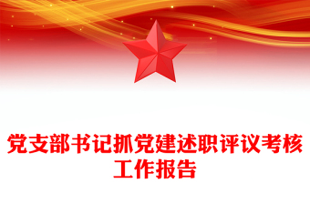 党支部书记抓党建述职评议考核工作报告