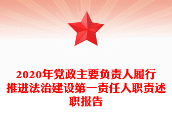 2020年党政主要负责人履行推进法治建设第一责任人职责述职报告