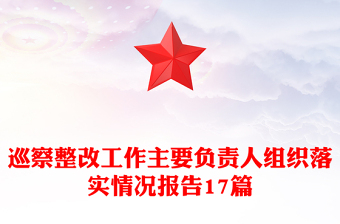 巡察整改工作主要负责人组织落实情况报告17篇