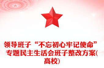 领导班子“不忘初心牢记使命”专题民主生活会班子整改方案(高校)