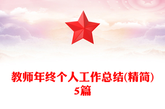教师年终个人工作总结(精简)5篇