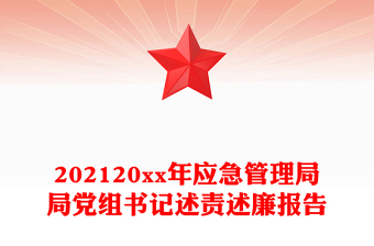 202120xx年应急管理局局党组书记述责述廉报告