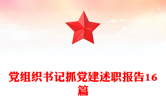 党组织书记抓党建述职报告16篇