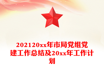 202120xx年市局党组党建工作总结及20xx年工作计划