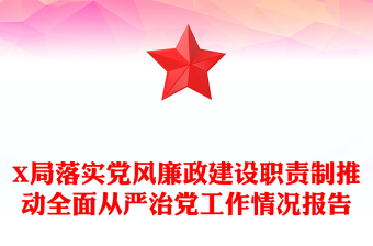 X局落实党风廉政建设职责制推动全面从严治党工作情况报告