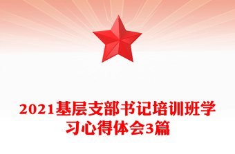 2021基层支部书记培训班学习心得体会3篇