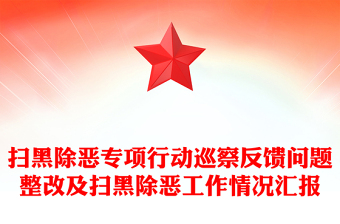 扫黑除恶专项行动巡察反馈问题整改及扫黑除恶工作情况汇报