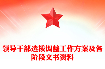 领导干部选拔调整工作方案及各阶段文书资料