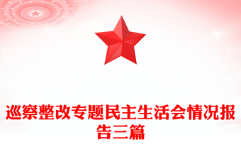 巡察整改专题民主生活会情况报告三篇