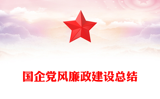 国企党风廉政建设总结
