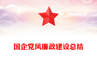 国企党风廉政建设总结