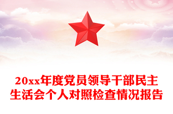 20xx年度党员领导干部民主生活会个人对照检查情况报告