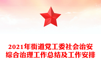 2021年街道党工委社会治安综合治理工作总结及工作安排