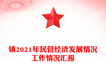 镇2021年民营经济发展情况工作情况汇报