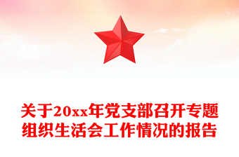 关于20xx年党支部召开专题组织生活会工作情况的报告