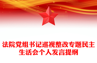 法院党组书记巡视整改专题民主生活会个人发言提纲