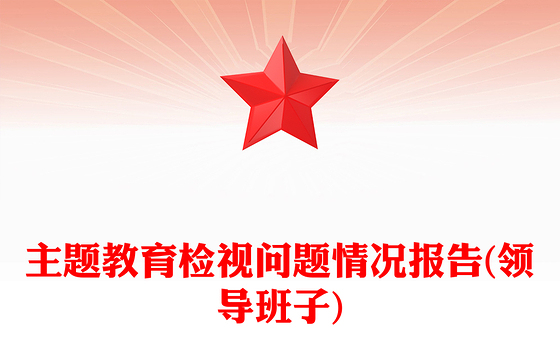 主题教育检视问题情况报告(领导班子)