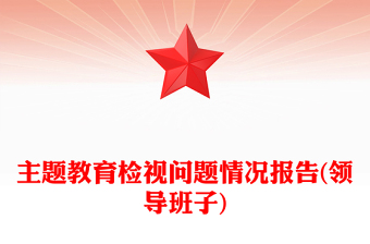 主题教育检视问题情况报告(领导班子)