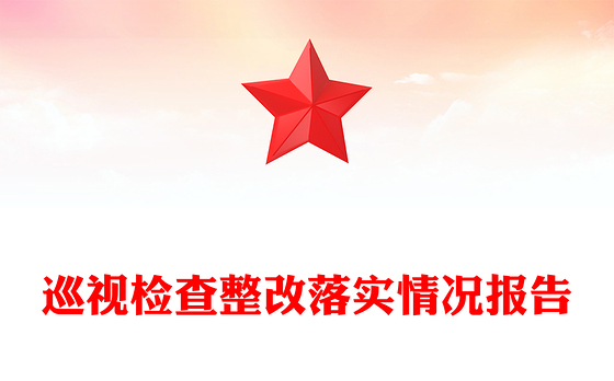 巡视检查整改落实情况报告