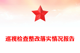 巡视检查整改落实情况报告